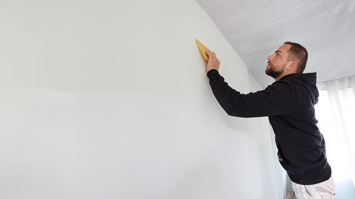 professioneel behanger